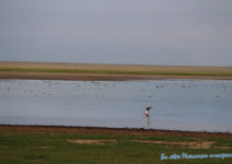 huh nuur-dornod aimag